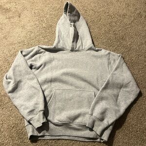 Aritzia Gray Hoodie